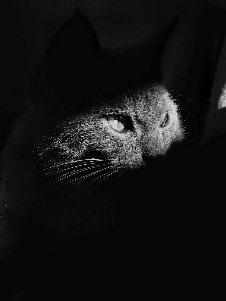 Photograph by Ахмед Кадиев