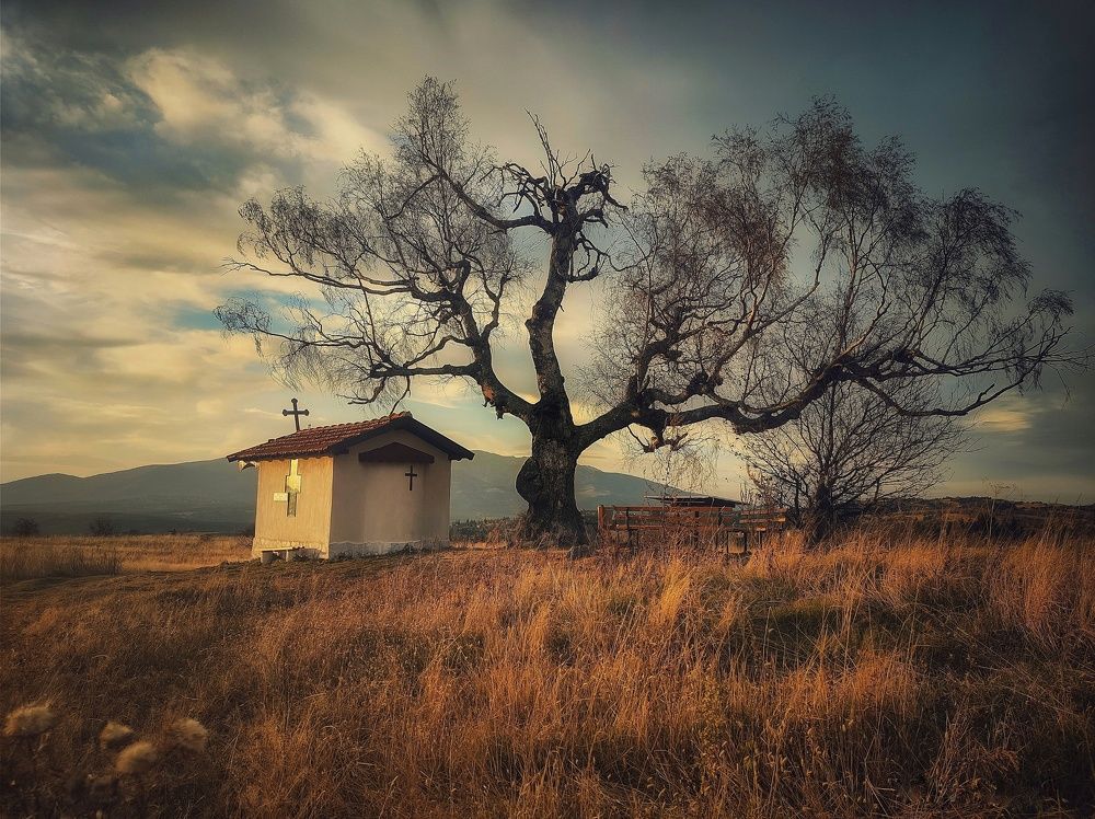 Photograph by Юлияна Стоянова