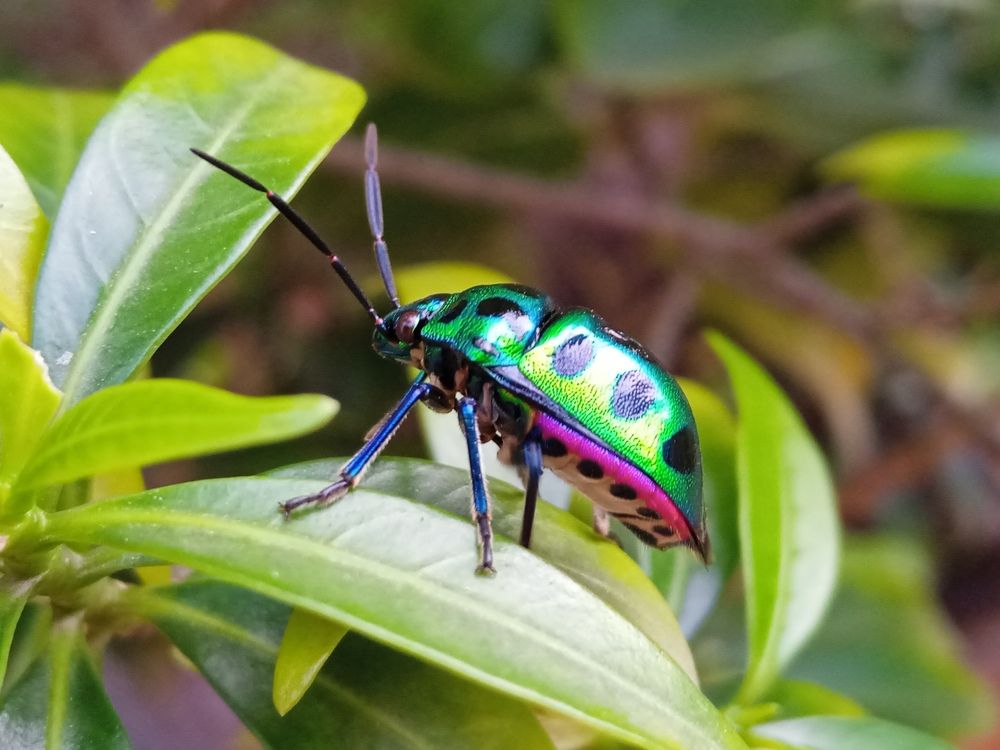 Photograph by Bishwarup Karmakar