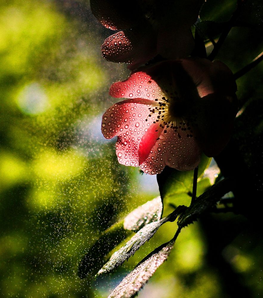 Photograph by Александр