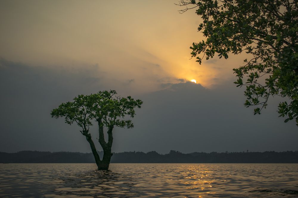 Photograph by DEBRAJ PURKAYASTHA