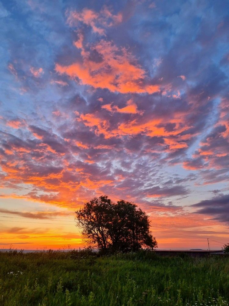 Photograph by Лидия Лащева