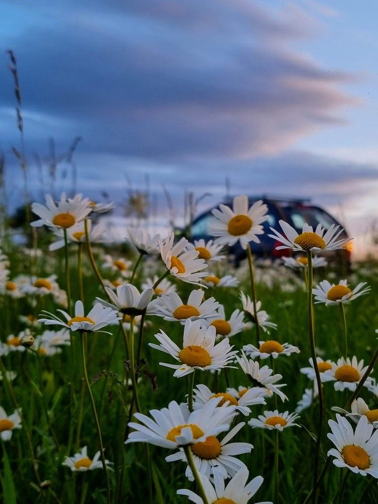 Photograph by Лидия Лащева