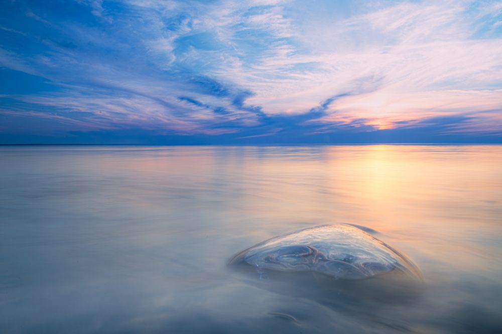 Photograph by Алексей Ильин