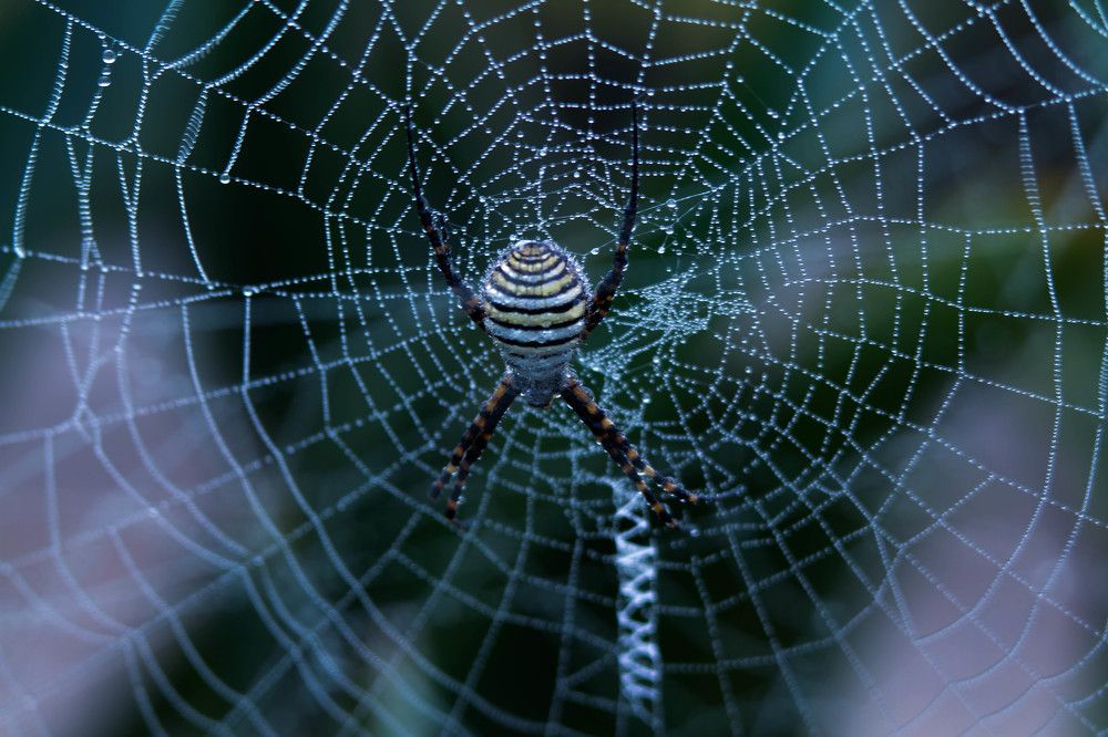 Photograph by mansour Hamdaoui