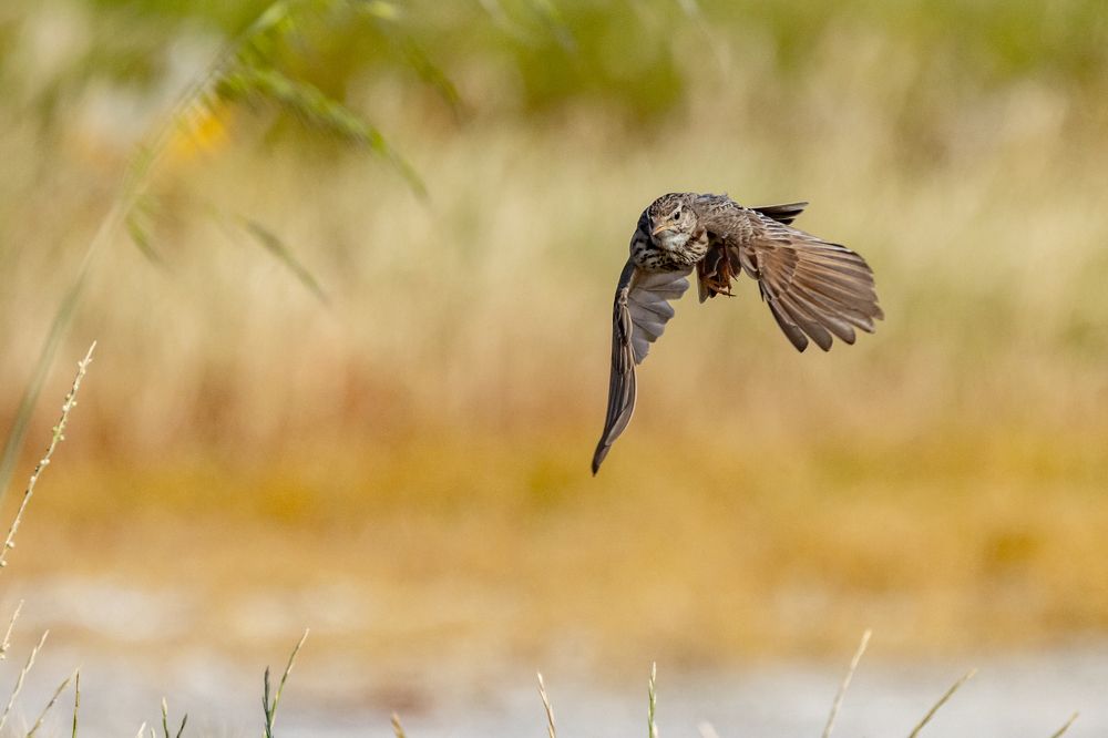 Photograph by erkan camlilar
