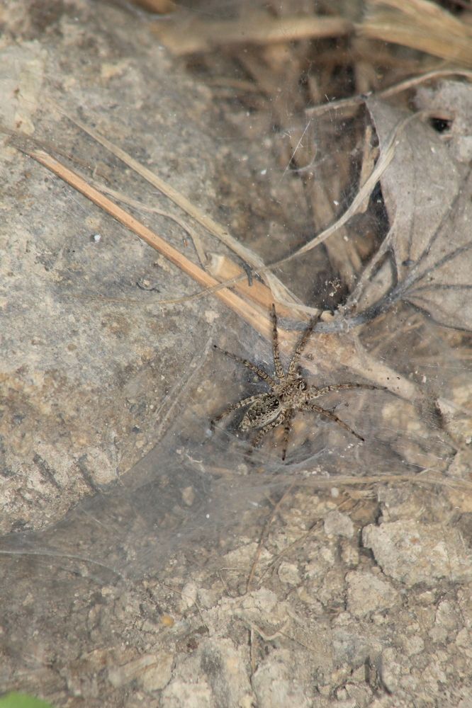 Photograph by Waleed Yousuf Alwahaibi