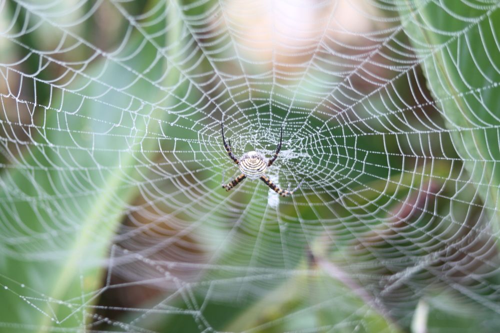 Photograph by mansour Hamdaoui