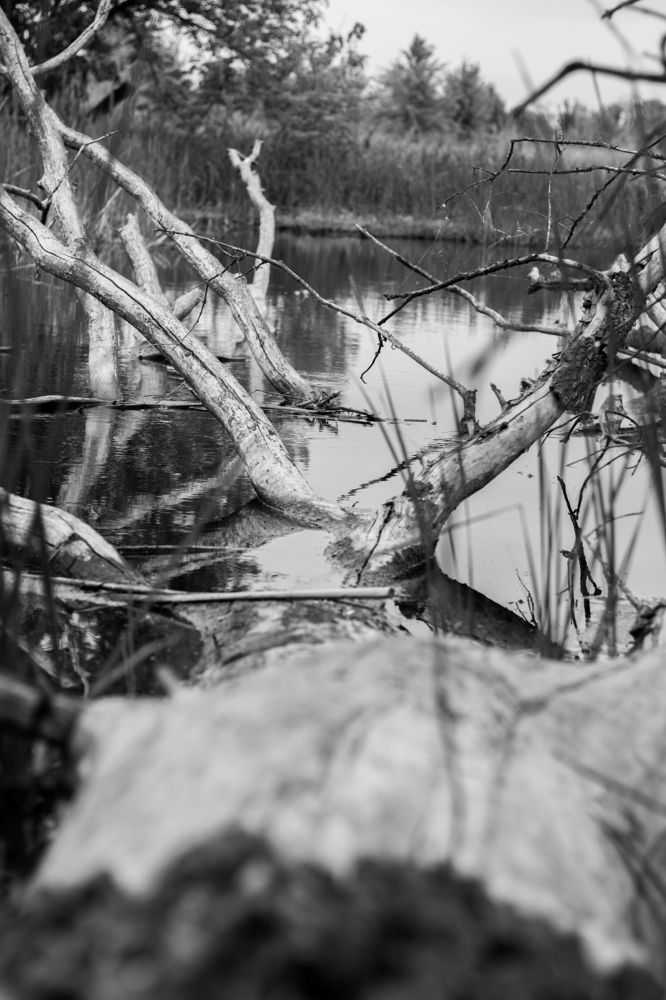 Photograph by Роман Якута