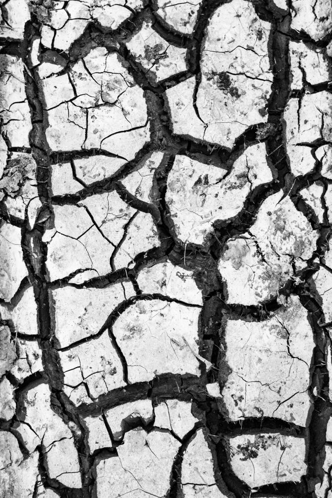 Photograph by Роман Якута