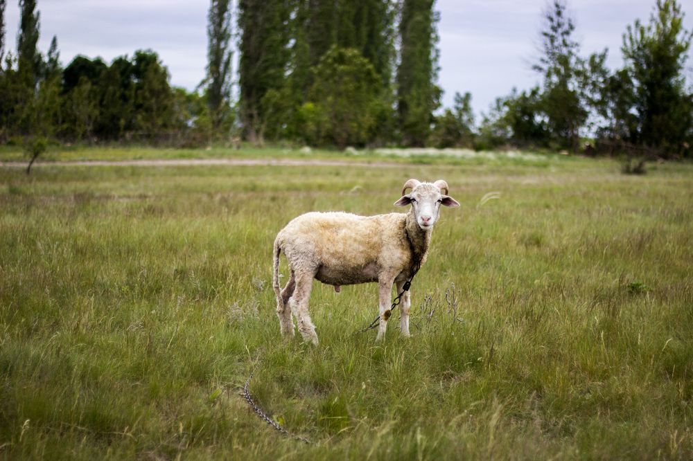 Photograph by Роман Якута