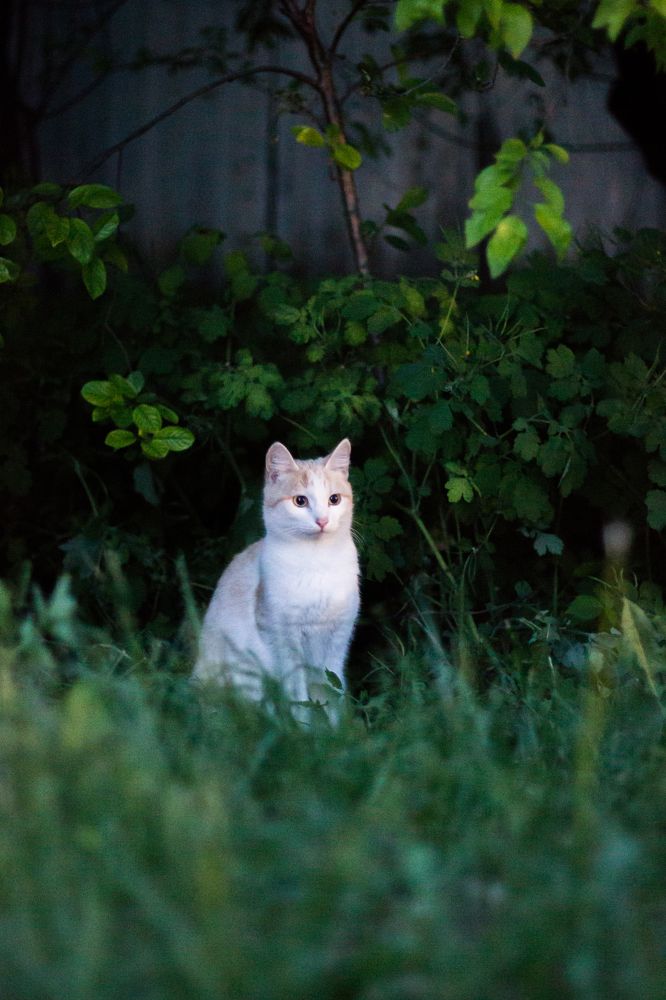 Photograph by Роман Якута