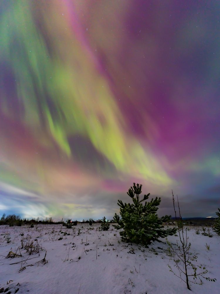 Фотография автора Панагушин Сергей