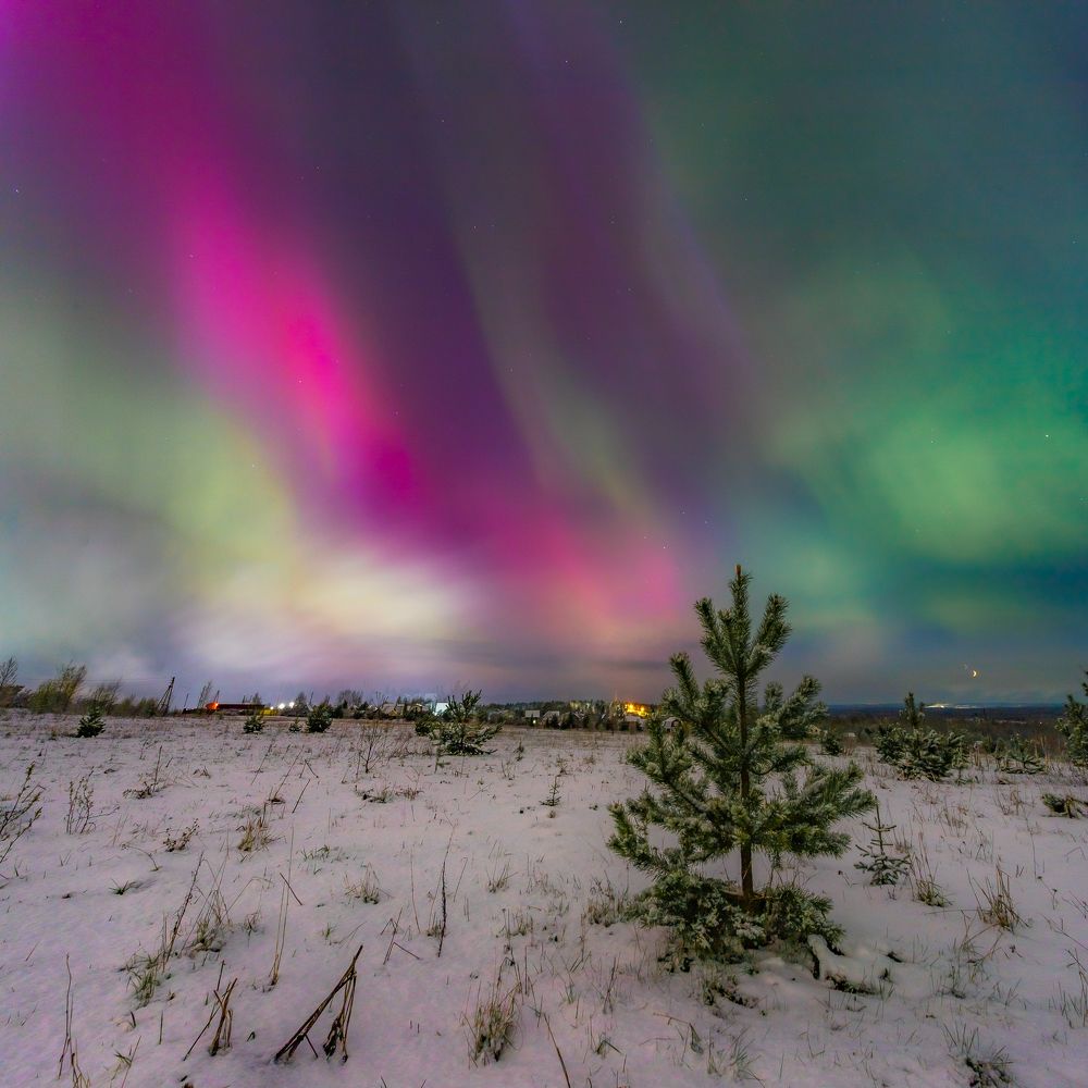 Фотография автора Панагушин Сергей