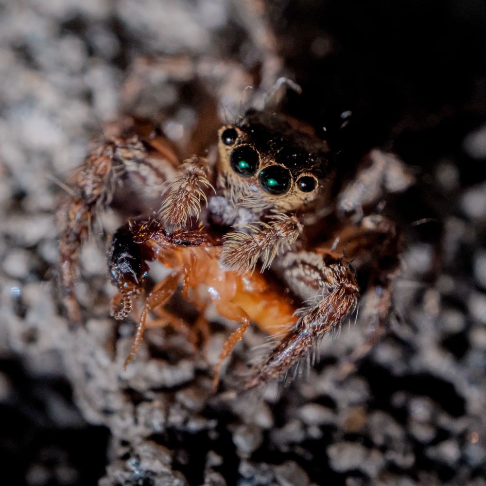 Photograph by Rowell Timoteo