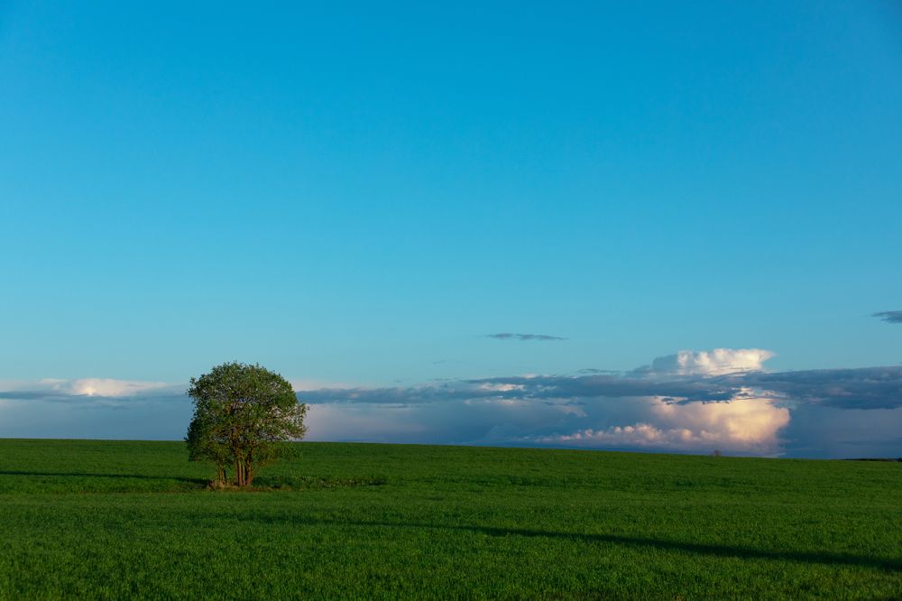 Photograph by Мария Бочкова