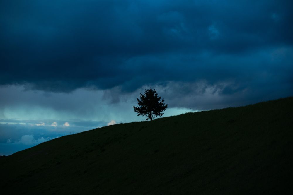 Photograph by Мария Бочкова