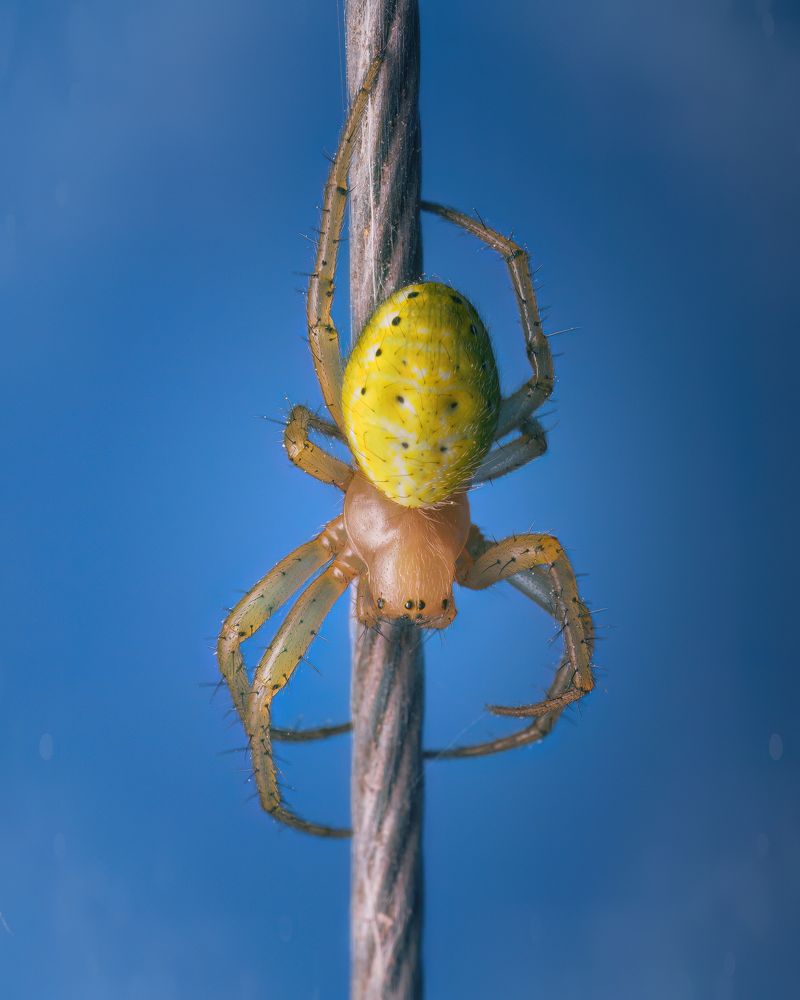 Photograph by Jorge Luis Cresti