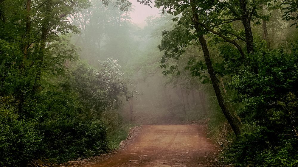 Photograph by Наталья Лобанова