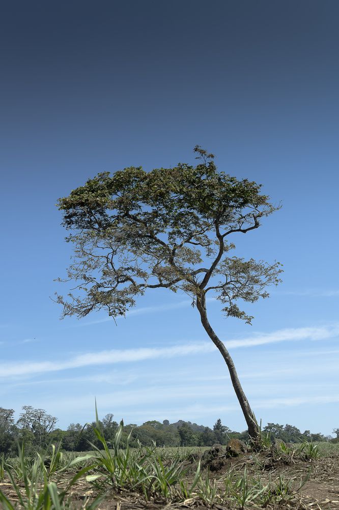 Photograph by Armando López-Guerrero