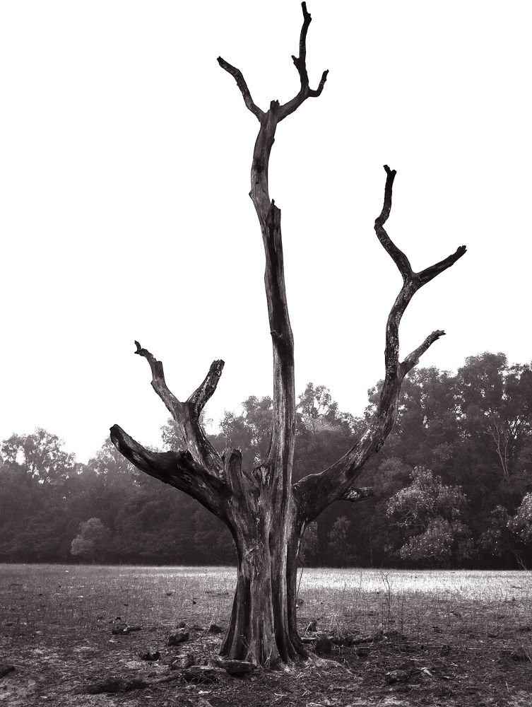 Destitute