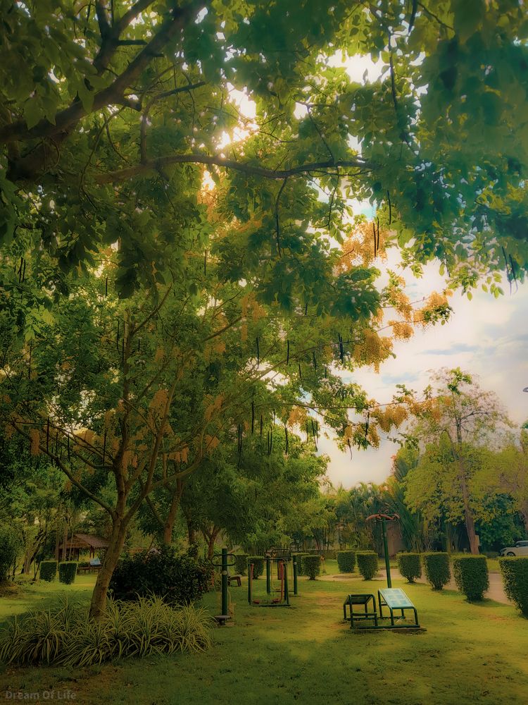 Photograph by Nyein Thiri Kyaw