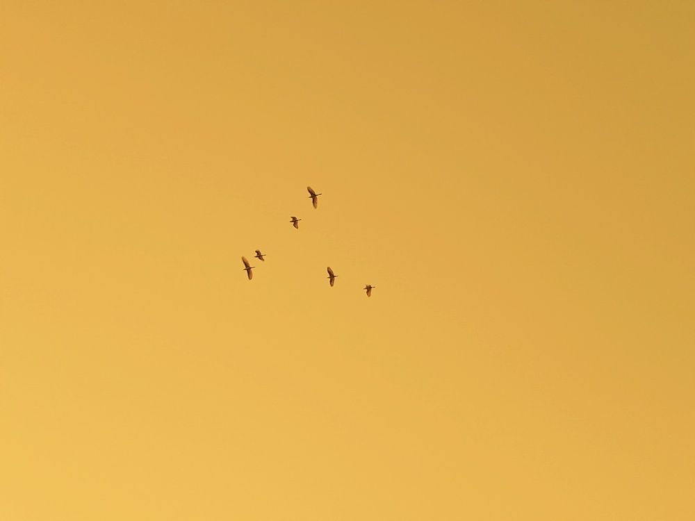 Photograph by Nyein Thiri Kyaw