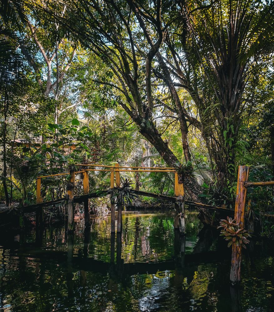 Фотография автора Walfrido Alexandre