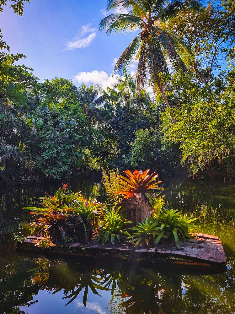 Фотография автора Walfrido Alexandre