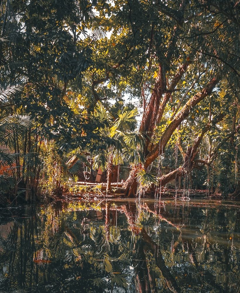 Фотография автора Walfrido Alexandre