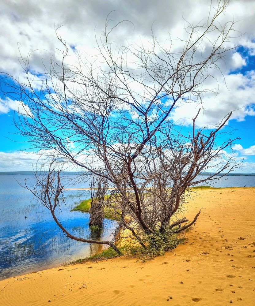 Фотография автора Walfrido Alexandre