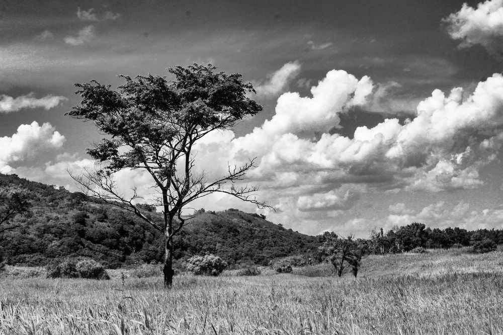 Photograph by Юлия Усольцева