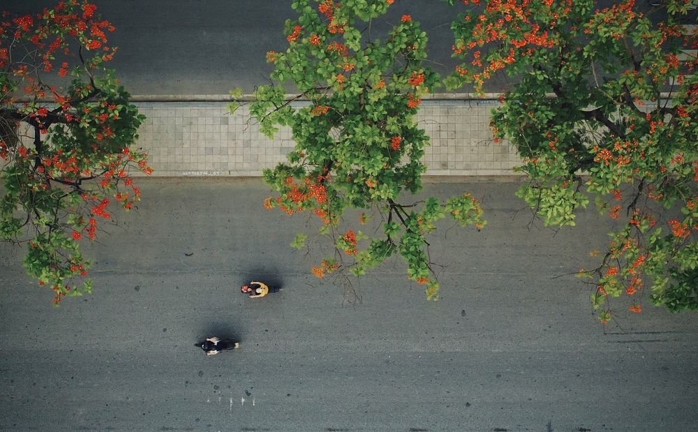 Photograph by Nguyễn Đức Huấn