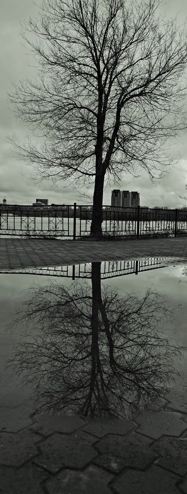 Photograph by Яна Истоцкая