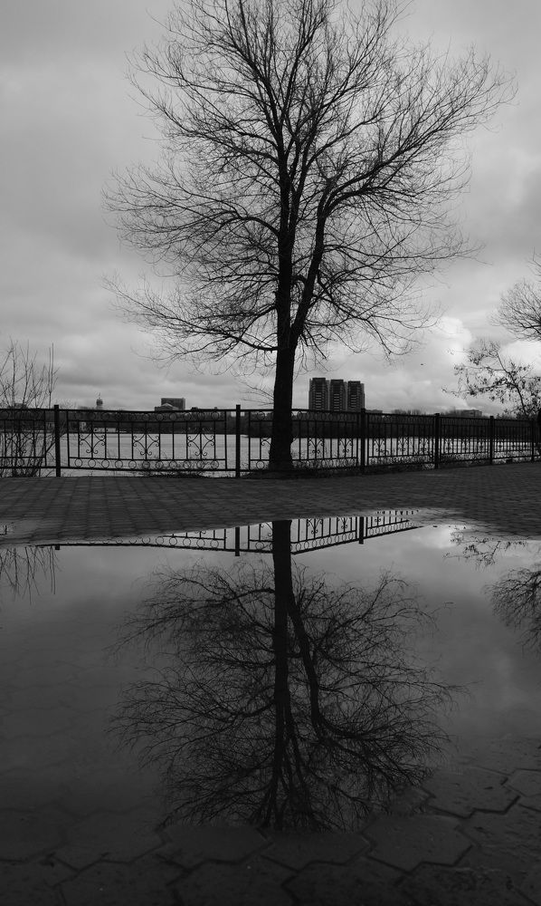 Photograph by Яна Истоцкая