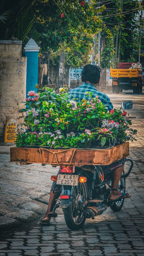 Photograph by Dr. Hanna Moideen