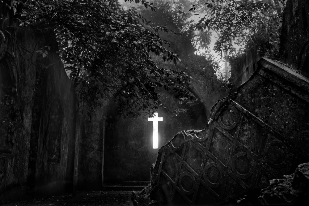 Фотография автора Nguyễn Minh