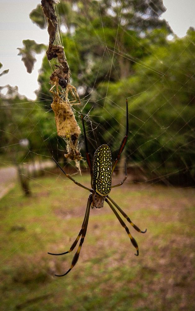 Photograph by Alfredo Barros
