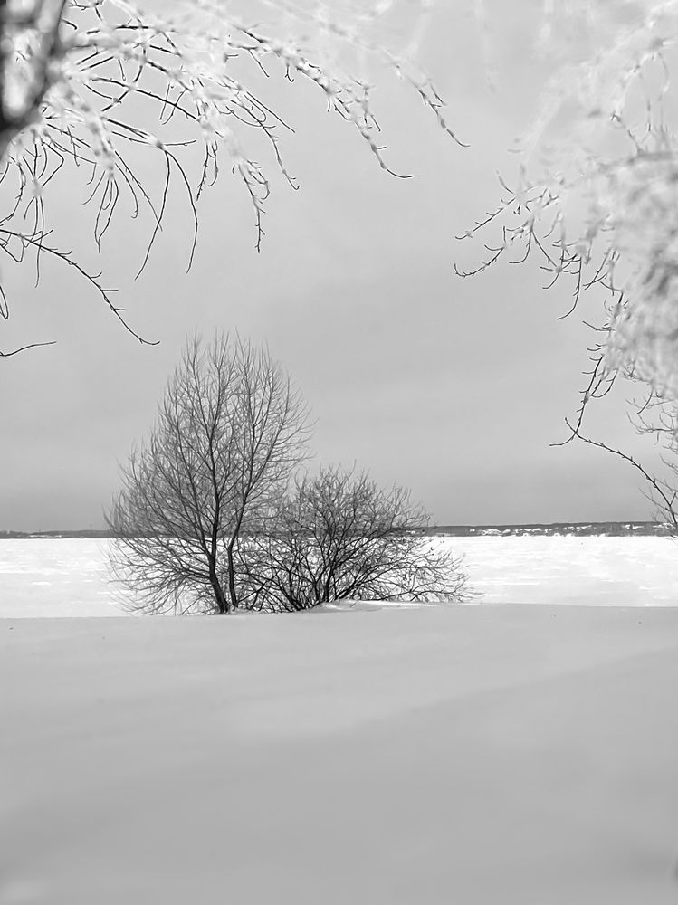 Photograph by Вера Романова