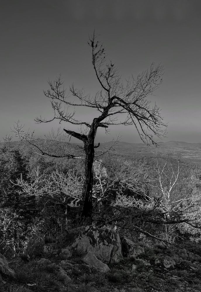 Photograph by Вера Романова