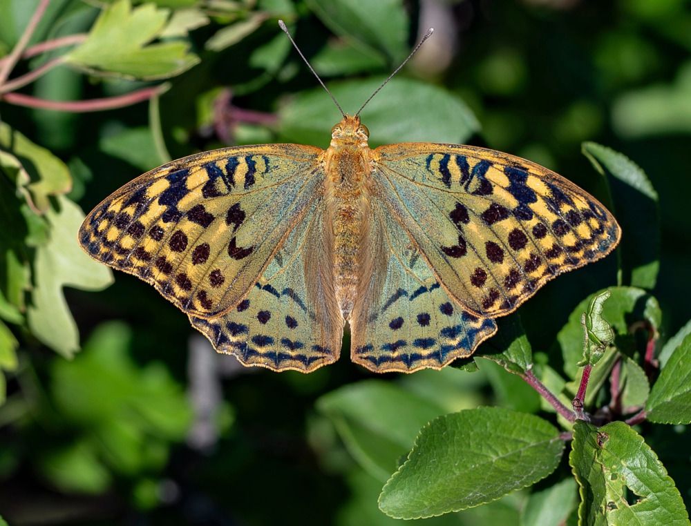 Фотография автора Дмитрий Кетов