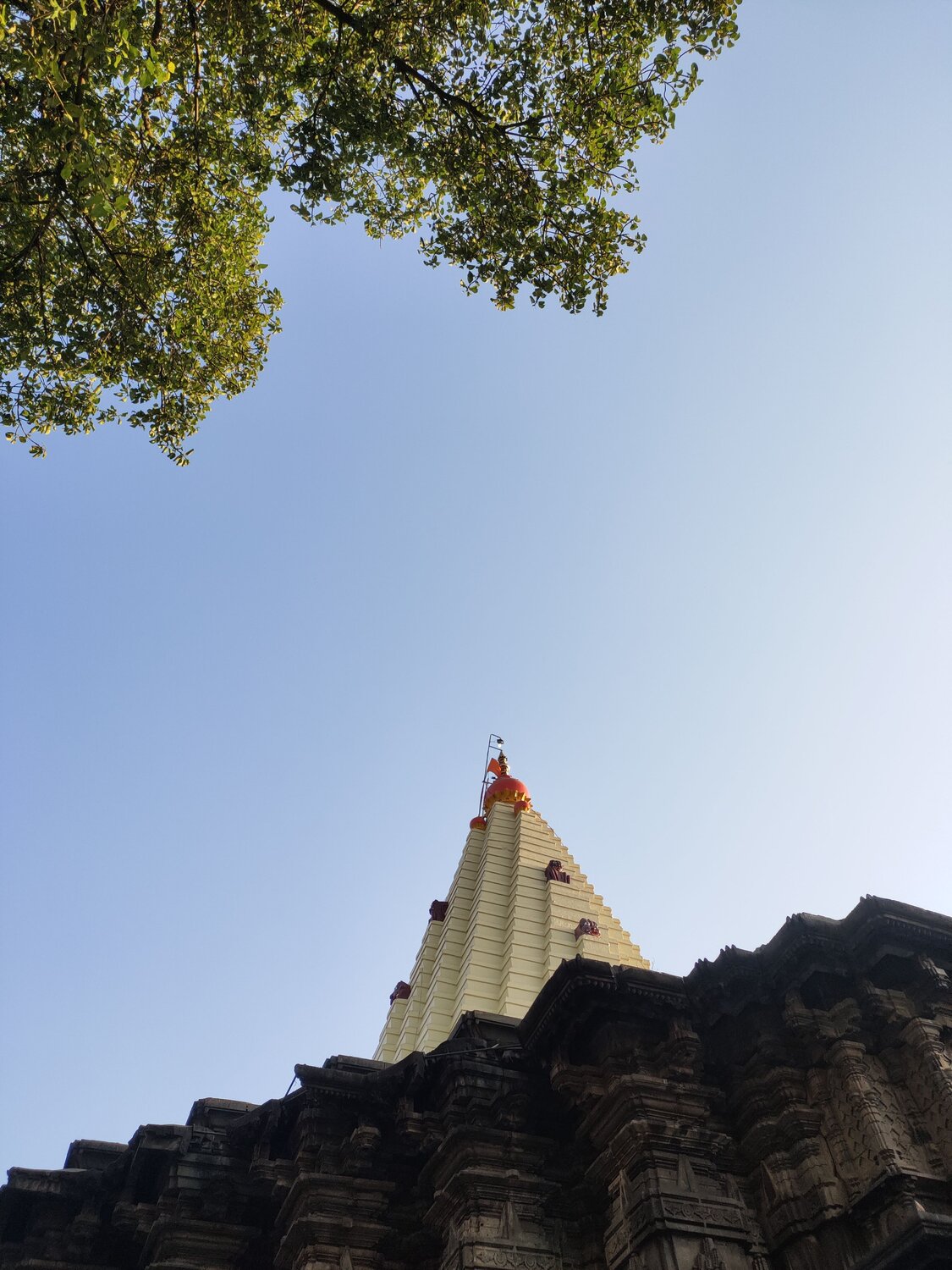 Photo #10660918