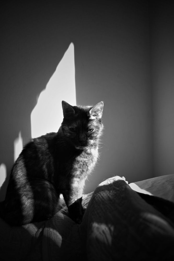 Фотография автора Federico Trassens