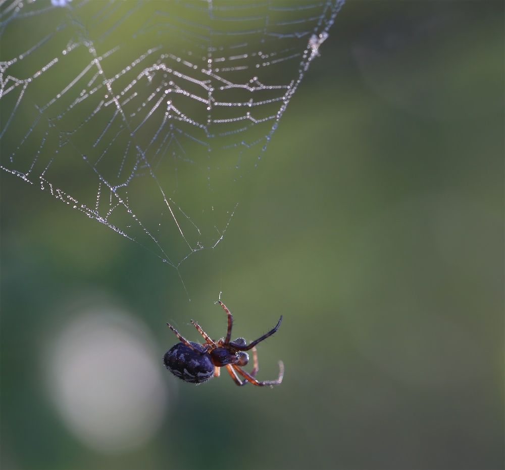 Photograph by Евгения Левина