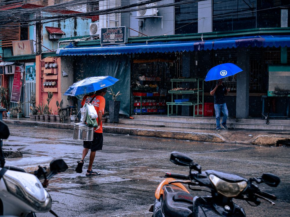 Фотография автора Alex Negre