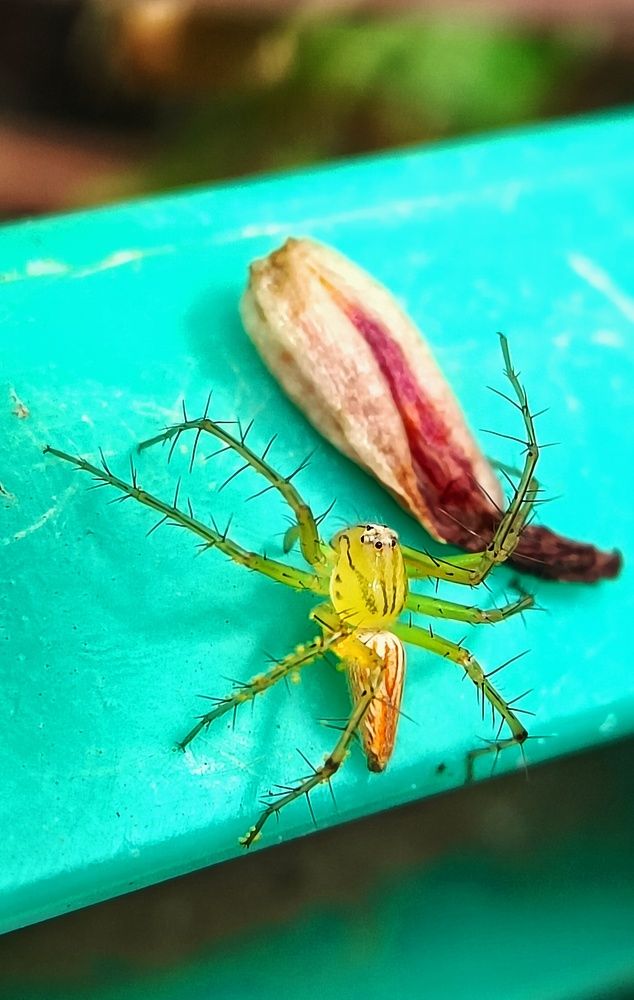 Photograph by Ayan Das