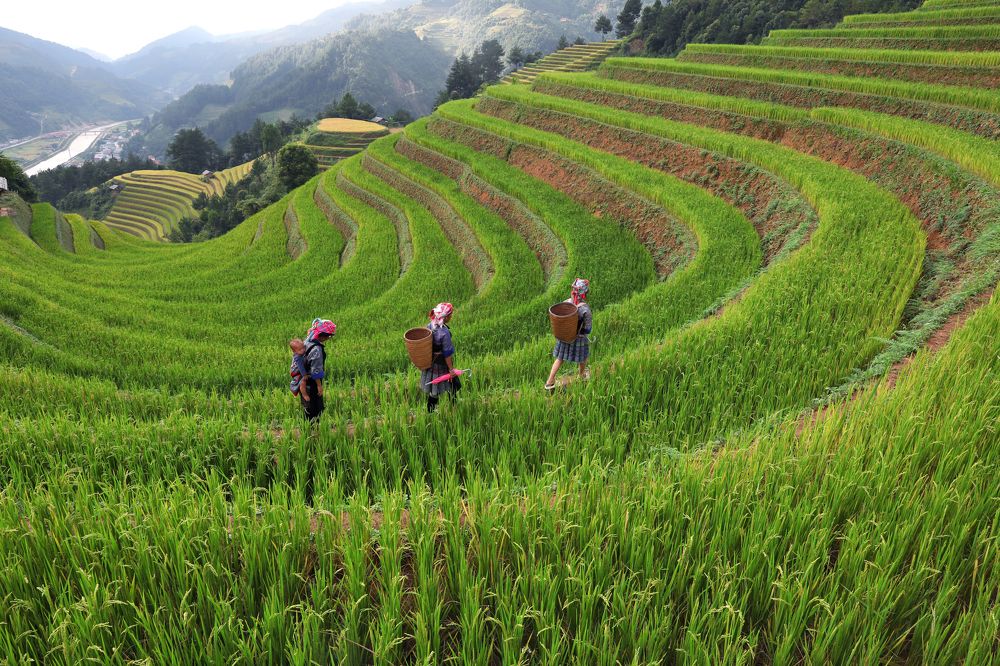 Photograph by Sabina Akter