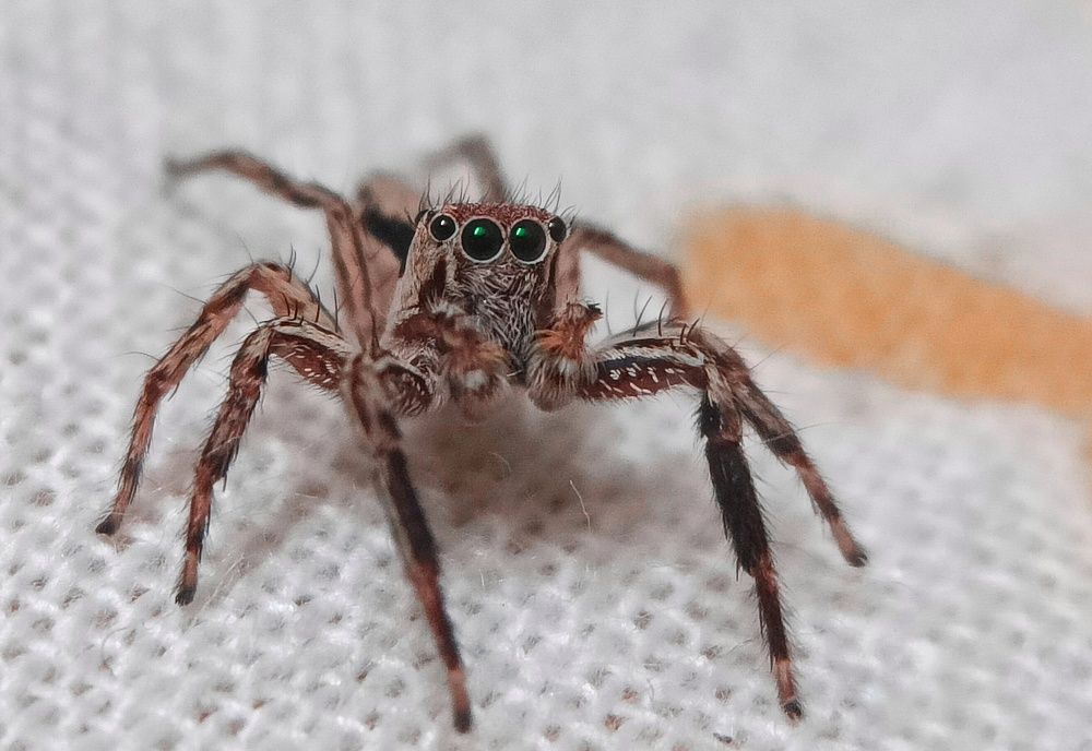 Photograph by Ayan Das