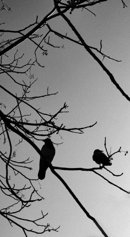 Фотография автора Екатерина