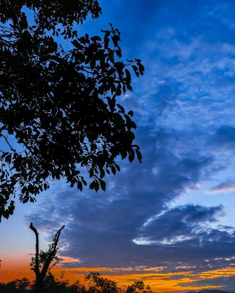 Photograph by DEEPAYAN MODAK